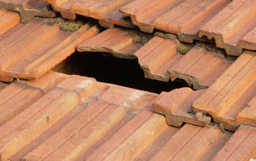 roof repair Talbot Woods, Dorset