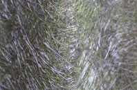 Talbot Woods fibreglass roof work